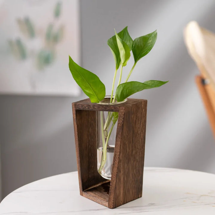Elderon Wooden Vase | Minimalist Hydroponic Display