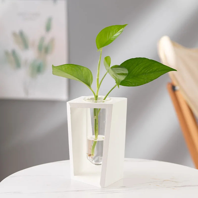 Elderon Wooden Vase | Minimalist Hydroponic Display