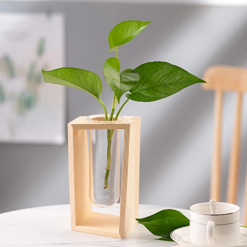 Elderon Wooden Vase | Minimalist Hydroponic Display