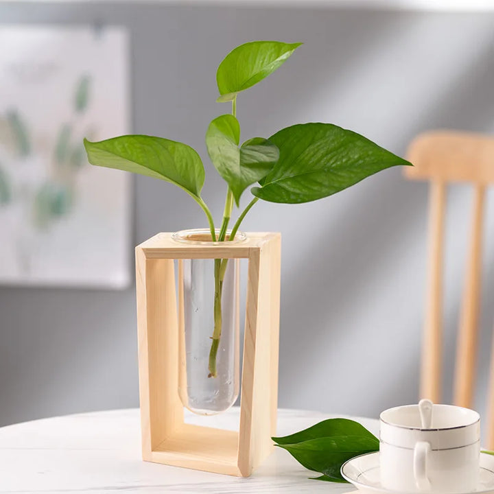 Elderon Wooden Vase | Minimalist Hydroponic Display
