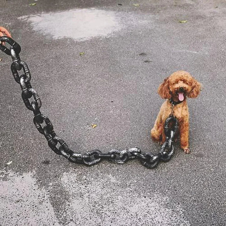 IronPaws Dog Leash | Durable Design for All Sizes