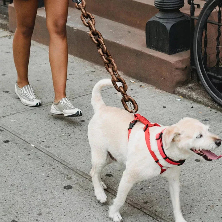 IronPaws Dog Leash | Durable Design for All Sizes